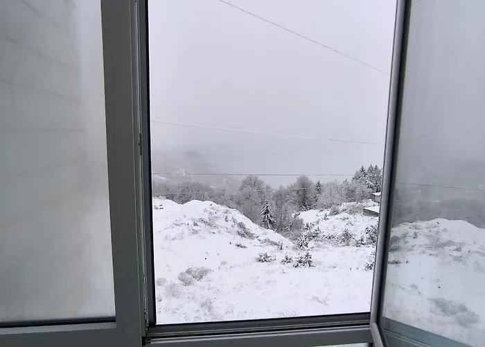 Lejlighed Black Star Kop *